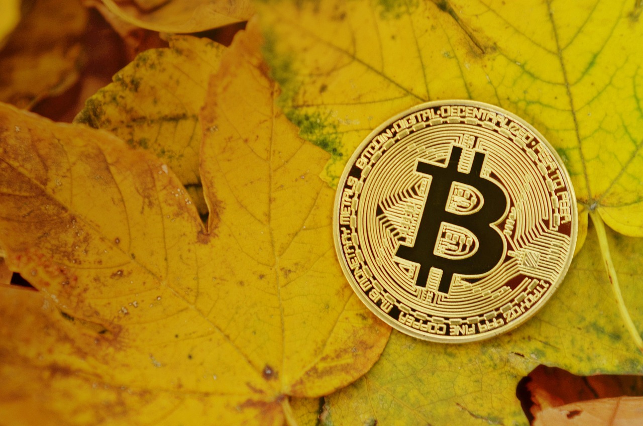 普京宣布俄乌战争复活节停火30小时！比特币涨破8.5万美元